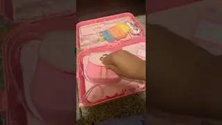 Princess Luggage Organizing ASMR Play Toy Review Fun Doll