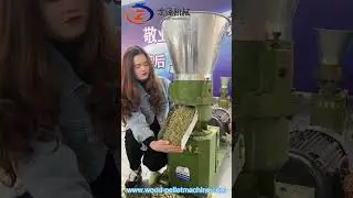 2 rollers animal feed pellet mill making 3mm 4mm 5mm pellet