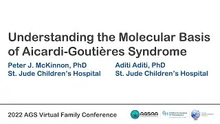 Molecular Basis of Aicardi-Gouti&egrave;res Syndrome (Peter McKinnon, PhD and Aditi Aditi, PhD)