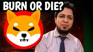 Shiba Big Burning Is a Must | SHIB Supply Crisis Explained #shibainu #shibarmy #shiba #shib