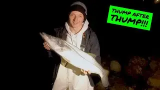 Late Night Fishing For BIG SNOOK | Snook Fishing Flare Hawks