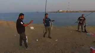 লোহিত সাগর থেকে কাইকা ধরার কৌশল । Jeddah fishing