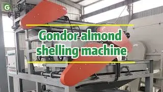 Revolutionize Your Nut Processing with Our High-Efficiency Almond Shelling Machine! 🌰⚡️#almond #nut