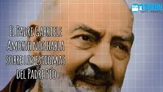 El Padre Gabriele Amorth nos habla sobre los estigmas del Padre Pío