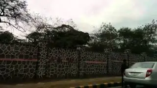 Google Nexus 5 video sample