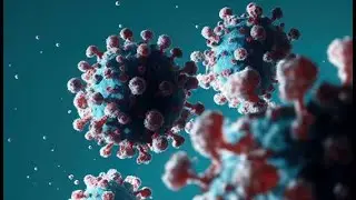 COVID Vaccine Rollout Results
