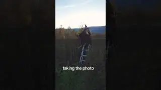 Taking witch portraits on a broomstick. Halloween photoshoot