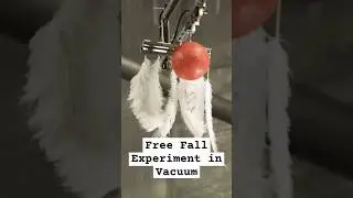 Why All Objects Fall at the Same Speed in a Vacuum: The Truth About Gravity