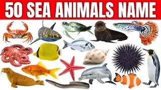 Морские животные | Морские животные для детей | Изучаем морских животных на английском языке | Ви...