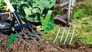 Spading Fork vs Digging Fork: Which Tool is Better?