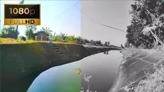 Beauty Nature | COLOR GRADING PART 200