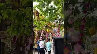 Hassanamba Temple Darshan 2025