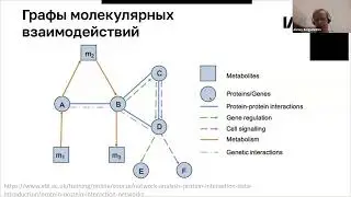 Алексей Сергушичев: Анализ графов для интерпретации биологических данных (17/11/2022)