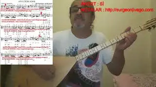 SOLFEJ AYVA ÇİÇEK AÇMIŞ YAZ MI GELECEK KISA SAP BAĞLAMA EKLEYEN SURGEON