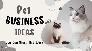 Top 10 Unique & Profitable Pet Business Ideas Business Ideas for Animal Lovers