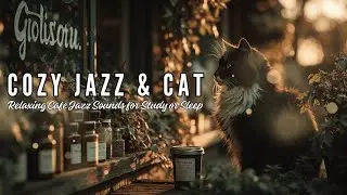 Cozy Jazz & Cat Music for Focus &ndash; Расслабляющие звуки кафе-джаза для учебы или сна