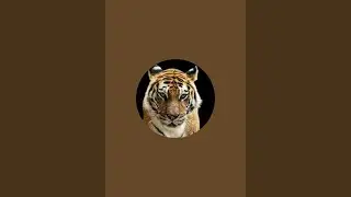 Atithi devo Bhava welcome back my channel skjvlog