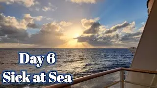 Day 6 Disney Fantasy Sick at Sea | Pixar Day | Alaskan Bears Vlogs