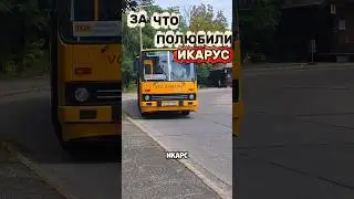 ЗА что любили ИКАРУС в СССР🤔❗ #техника #automobile #автобус #ссср #обзор #машина #водитель