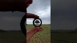 History hides in plain sight.. #ytshorts #latvia #history #metaldetecting