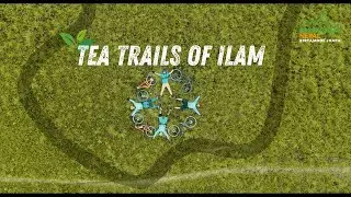 Ilam Tea Trails Promotional Video
