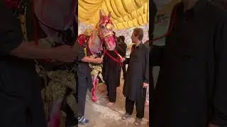 10 Muhrram Pindi Bhattian |2023