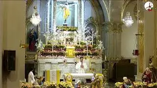 Celebración Eucarística