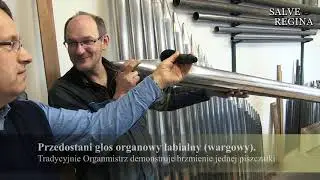 Organy dla Anina (cz. 4)