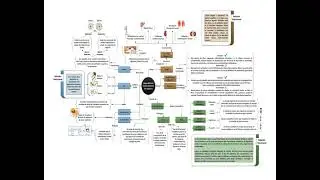 09 Redox, pH, termodin&aacute;mica, tipos de dietas y su relaci&oacute;n nutricional  Mapa Conceptual H