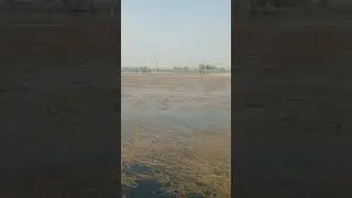 God help punjab farmers help flood pakistan border