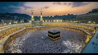 Travel To Makkah (Detailed Review)