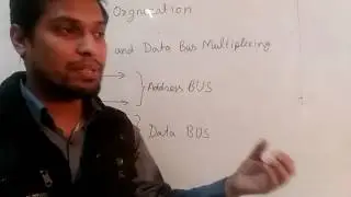 Bus Organization