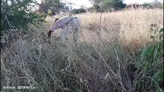 Village Life Hits Different;Hard Work Behind a Peaceful Village Life