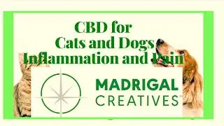 Madrigal Creatives l CBD For Cats And Dogs Inflammation and Pain