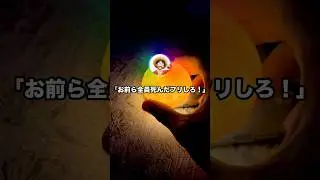 ルフィ「おい！ブルックが来たぞお前ら！！」 #ワンピース #ルフィ #2ちゃんまとめ #2ch面白いスレ #なんj