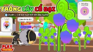 Play Together | Mình Thử Kích Hoạt Thời Tiết Mới Dùng 50 Vòi Nước Trồng Cây Cổ Đại Trái Khổng Lồ