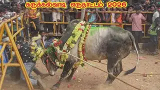 கருக்கல்வாடி எருதாட்டம் 2026 | Full Video | Karukalvadi Eruthattam | #salem #eruthattam #kangeyam 