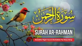 Surah Ar-Rahman (سورة الرحمن) | Beautiful Quran Ayat Recitation #16