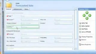 Commonplace, and Common-sense, Customizations to the CRM Opportunity Entity