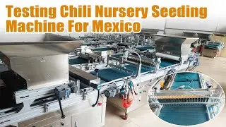 Fully automatic nursery seedling machine test & ship: ensure optimal performance for Mexican client
