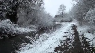 River Lark at snowy West Stow, March 2013