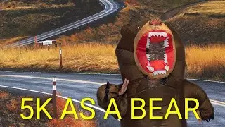 Running a 5K in a bear costume#funny #bear #project grad #odessa