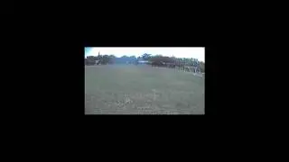 หัดบิน fpv 210 naze32 rev6 By ปั่มปั๊ม