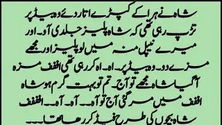 SHAH AND HIRA  BOLD ROMANTIC NOVEL|Short romantic novel||novel|urdu