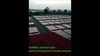 AirMMax aeration tube used at high density vanamei shrimp farming booster system