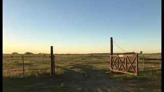 EN VIVO - TRANQUERA ABIERTA DIGITAL  13-01-2026