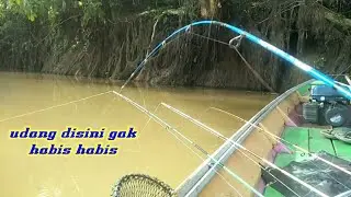 banyak sekali udang disini gak ada habis nya||mancing udang||yansah pancing
