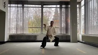Wudang Wuxing 5 animals Neigong | Dynamic Qigong | 5 elements | Health | Vitality | Balance