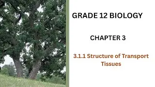 Grade 12 Biology: Chapter 3 - part 2