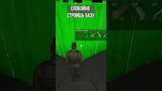 Тиммейты I SCUM #scum #shorts